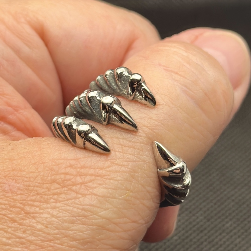 Dragon Claw Silver Stainless Steel Ring